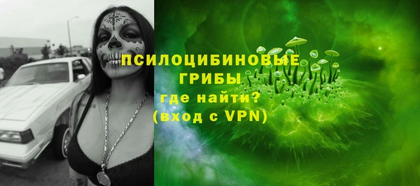 ешки Алзамай