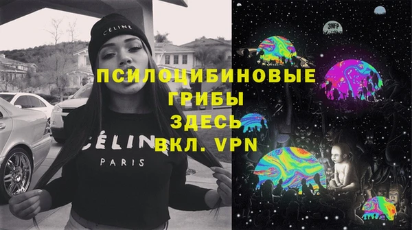 spice Алексеевка