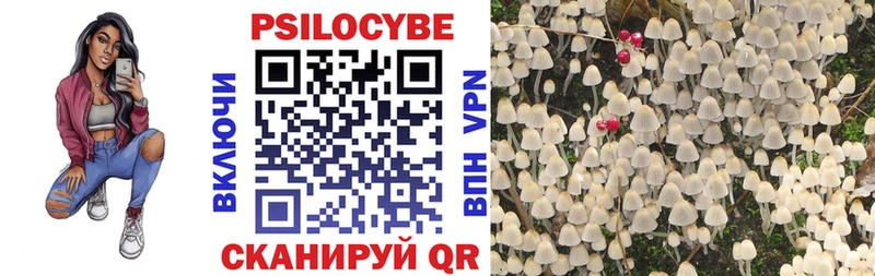 Галлюциногенные грибы Psilocybine cubensis  где продают   Выкса 